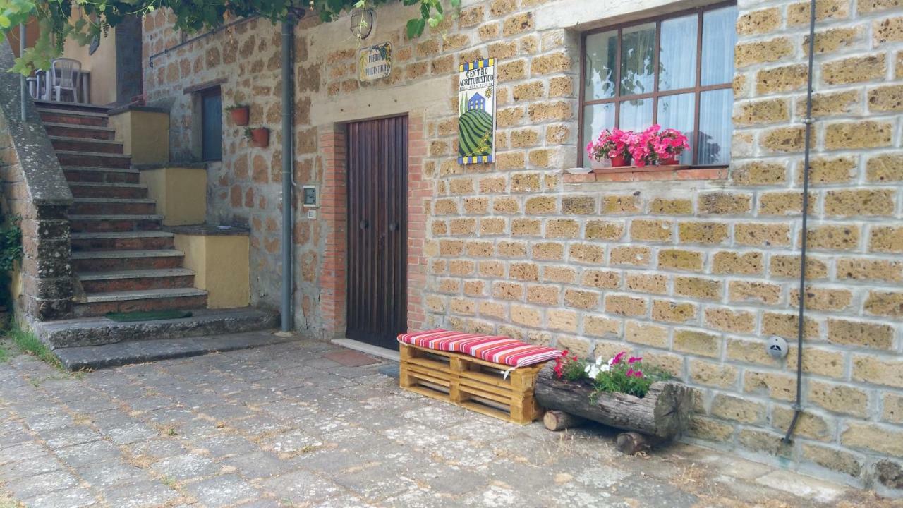 Podernuovo