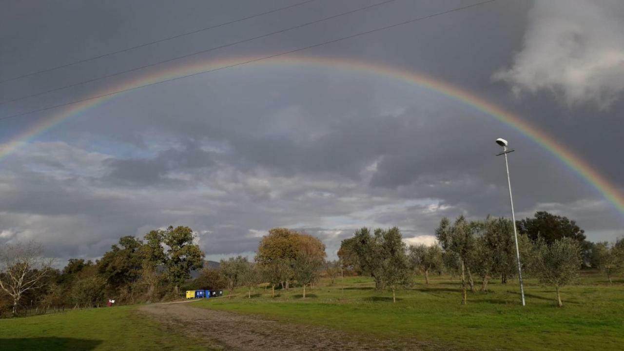 Podernuovo Agroturismo